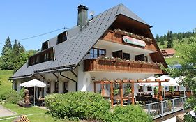 Hotel&Restaurant Grüner Baum - Die Grüne Oase Am Feldberg