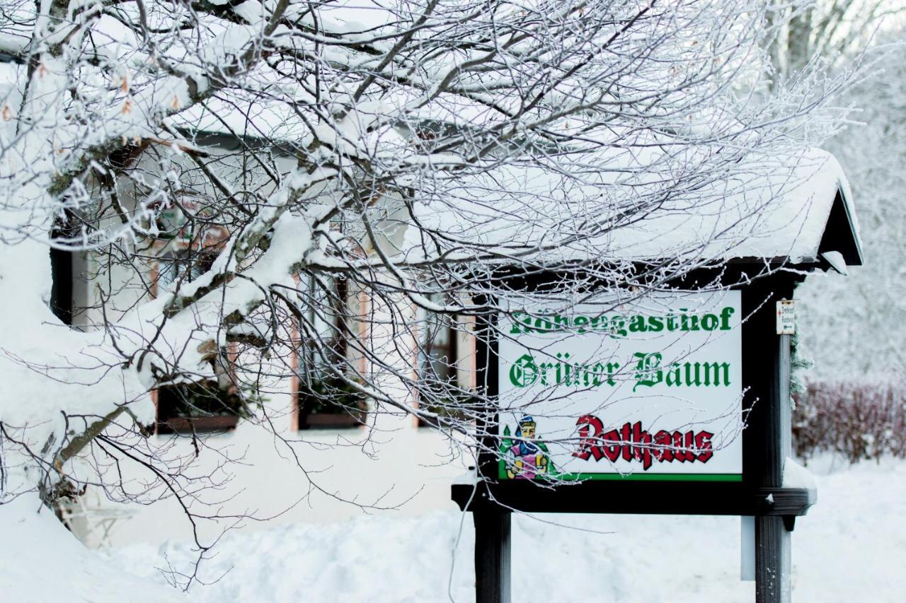Hotel&Restaurant Grüner Baum - Die Grüne Oase Am Feldberg Exterior foto